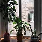 10elode House Apartment *