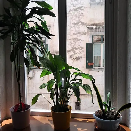 10elode House Apartamento *