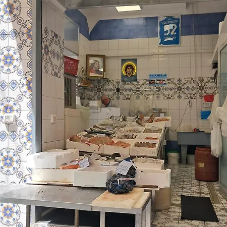 Appartement 10elode House