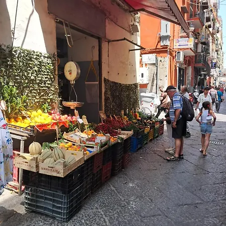 10elode House Apartment *