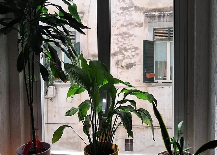 10elode House Lejlighed *